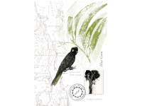 Tasmanian Naturalist Notebook greeting cards