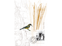 Tasmanian Naturalist Notebook greeting cards