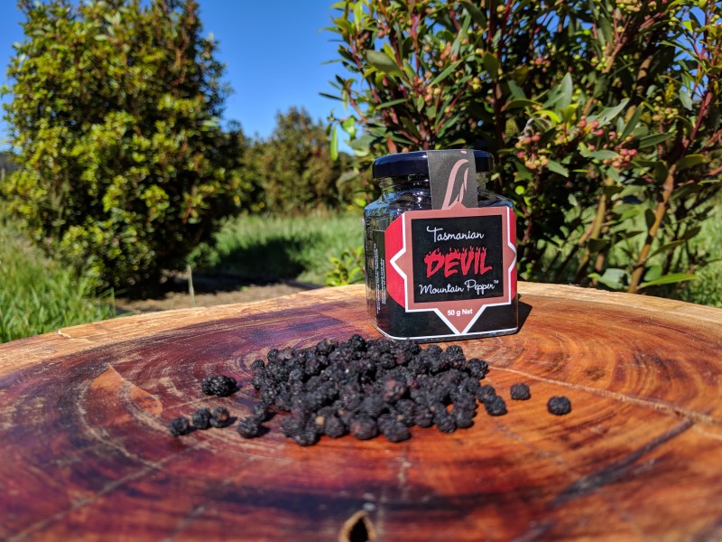 Tasmanian DEVIL® Mountain Peppercorns