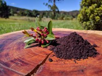 Tasmanian DEVIL® Mountain Pepper (Coarse-Ground)