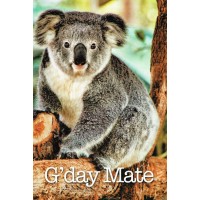 Koala greeting card