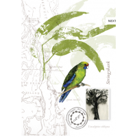 Tasmanian Naturalist Notebook greeting cards