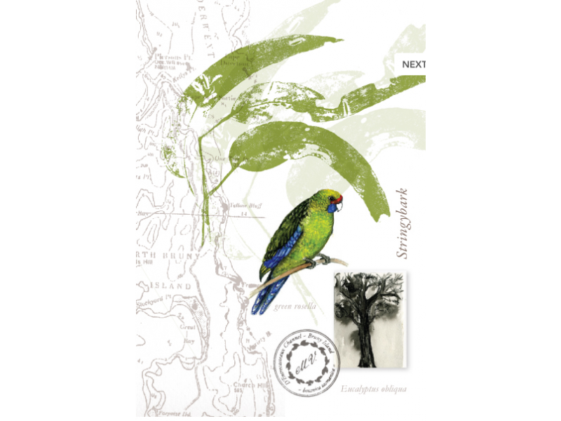 Tasmanian Naturalist Notebook greeting cards