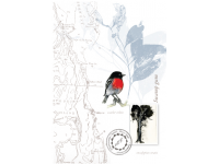 Tasmanian Naturalist Notebook greeting cards