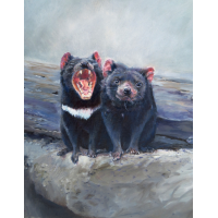 Tasmanian Devils greeting card by Mel Hills Wild Art