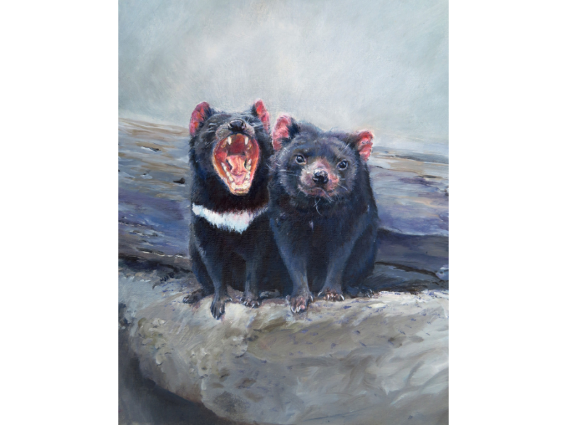 Tasmanian Devils greeting card by Mel Hills Wild Art