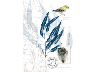 Tasmanian Naturalist Notebook greeting cards